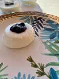 Panna cotta