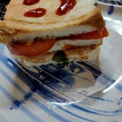 A picture of Onion tomato sandwich no fire theme.