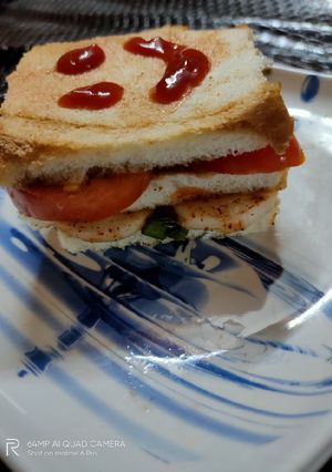 A picture of Onion tomato sandwich no fire theme.