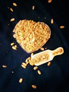 عکسی از دستور مغز تخمه