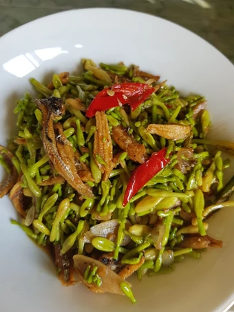 Cara Gampang Membikin Resep Tumis Bunga Pepaya yang Sempurna Anti Ribet, Lezat