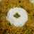 Tawa pulav with curd