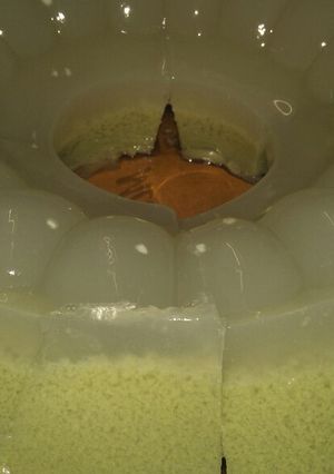 Foto resep Puding pandan rasa mokka