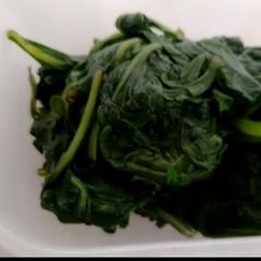 A picture of پالک کو فریز کرنا.