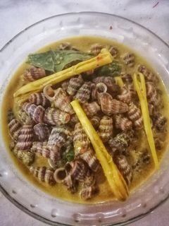 Gambar Siput sedut masak lemak kuning
