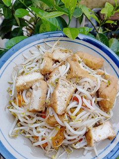 Foto resep Tumis Toge Tahu
