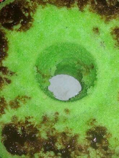 Foto resep Bolkus pandan