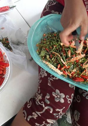 A picture of Sambal (Indonesian chilli sauce...extended).