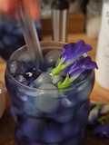 Longan Butterfly Pea Tea Drinks