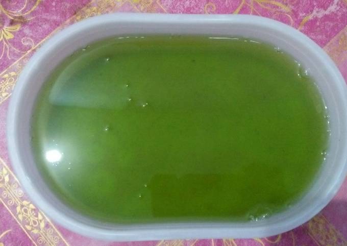 Puding Melon