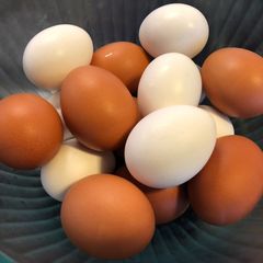 A picture of Perfect hard boiled eggs.