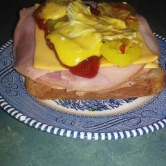 A picture of The wolds best sandwich.