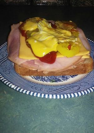 A picture of The wolds best sandwich.