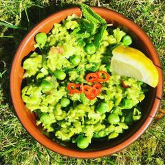 A picture of Macho peas.