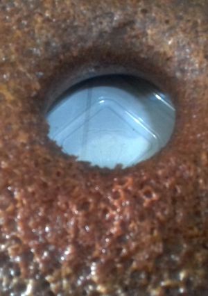 Foto resep Sarang semut