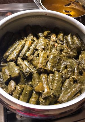 صورة لوصفة كوسا ورق عنب مع لحمه