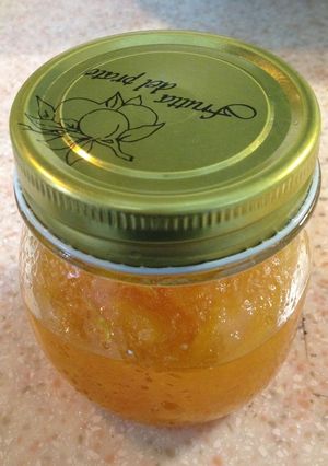 芒果果醬 的食譜成品照片