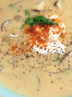 A picture of Hungarian Mushroom Soup.