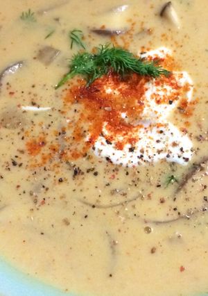 A picture of Hungarian Mushroom Soup.