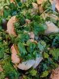 Scallops & cilantro
