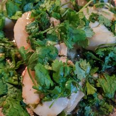 A picture of Scallops & cilantro.
