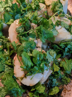 A picture of Scallops & cilantro.