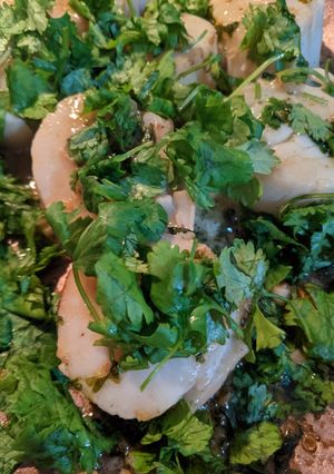 A picture of Scallops & cilantro.
