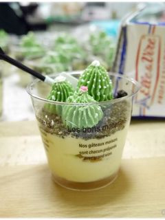 迷你仙人掌提拉米蘇（簡易版無蛋無吉利丁） 的食譜成品照片