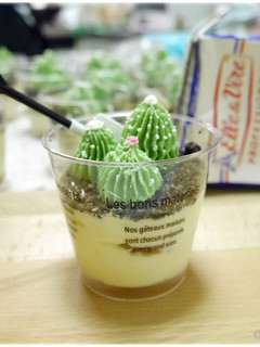 迷你仙人掌提拉米蘇(簡易版無蛋無吉利丁) 的食譜成品照片