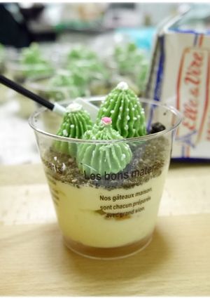 迷你仙人掌提拉米蘇（簡易版無蛋無吉利丁） 的食譜成品照片