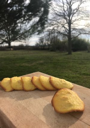 Une photo de Tuiles aux amandes