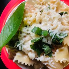 A picture of White sauce pasta with multiple pasta.