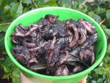 Cumi Hitam Resep KeLuarga