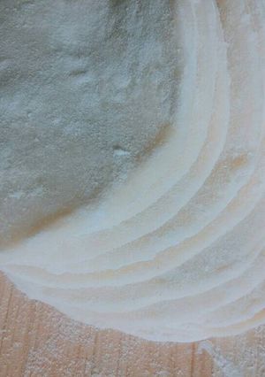 A picture of Dumpling Wrappers ❤.