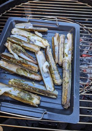 Une photo de Couteaux de la mer et sa persillade