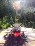 Vin chaud hibiscus/gin/vin blanc