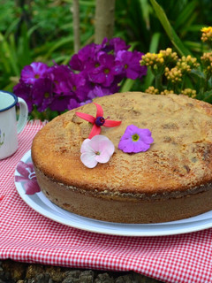 Una foto de Torta matera con dulce de leche😎