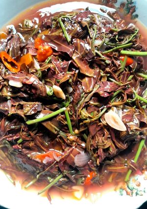 Foto resep Tumis Kelakai a.k.a Pakis Merah