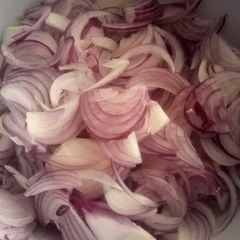 A picture of Onion pickles.