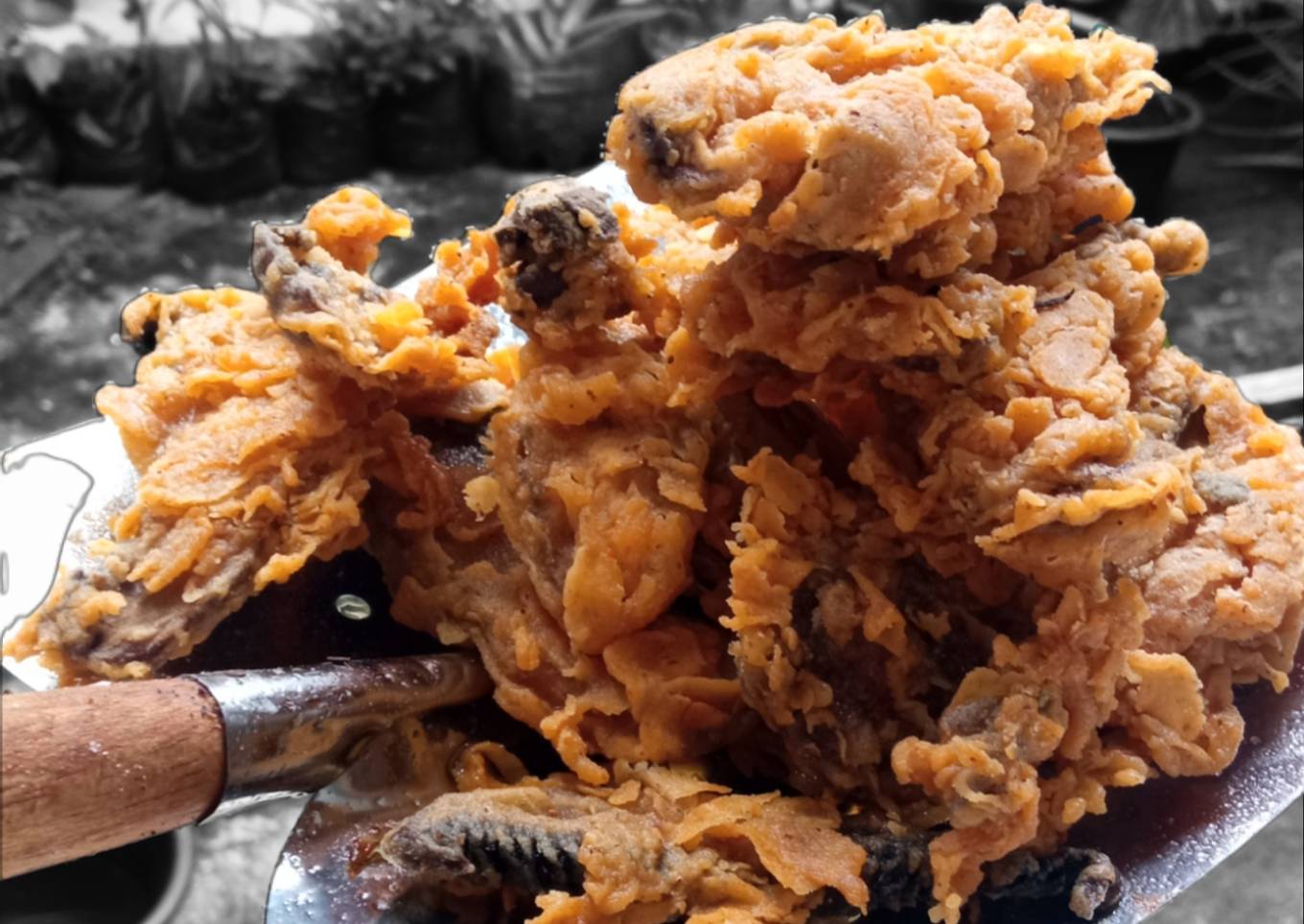 Portobello mushroom crispy (Jamur portabella)