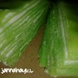 Mille crepes pandan