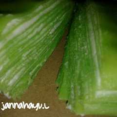 รูปของ Mille crepes pandan