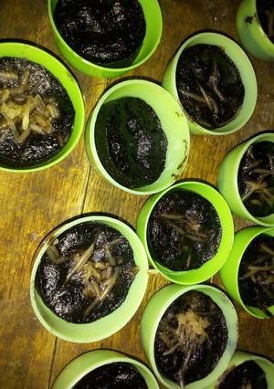 Foto resep Brownies oreo