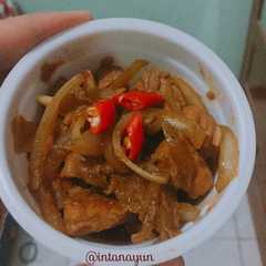 A picture of Ayam Teriyaki.