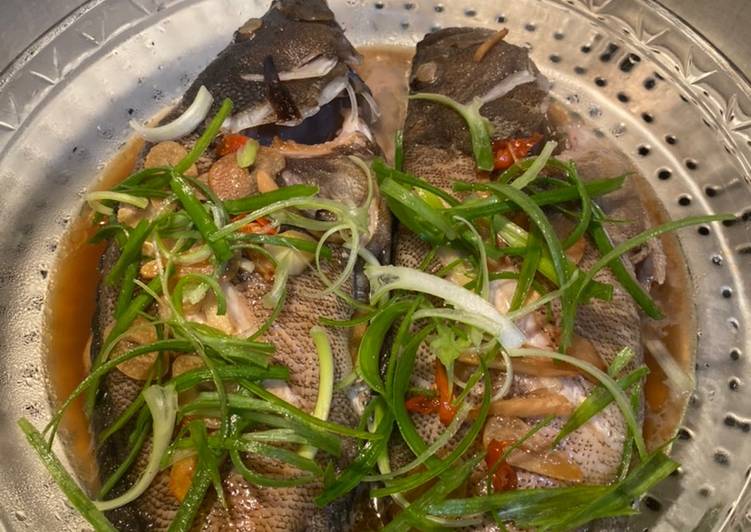 8 Resep: Ikan Kerapu Tim Hongkong yang Enak!