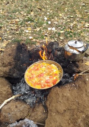 عکسی از دستور اینم املت صحرایی