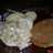 Papas hervidas con crema
