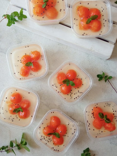 Foto resep Puding Sutra Pepaya