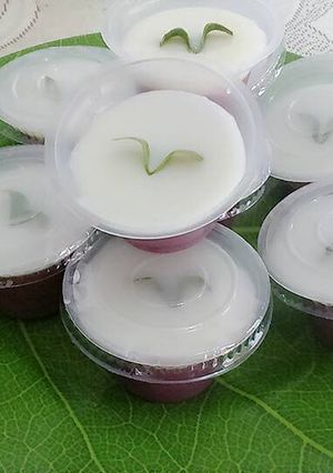 Foto resep PUDING SUSU UBI UNGU mini 🍮🍮