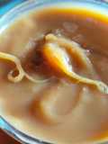 Dulce de leche de coco (vegano)